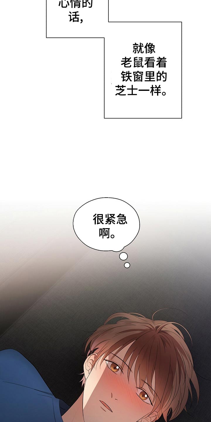 《金主连接》第27章建议 第13页