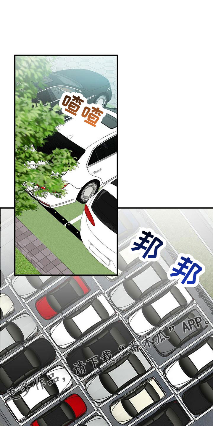 《金主连接》第58章梦 第13页