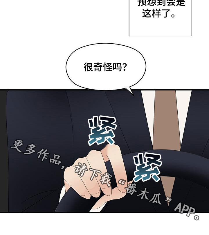 《金主连接》第83章音乐剧 第20页