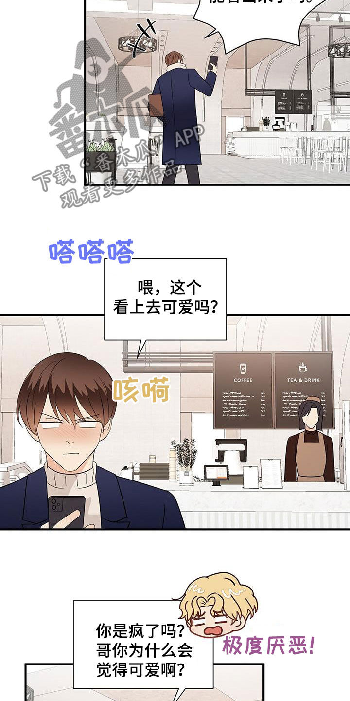 《金主连接》第94章选择我吧 第13页