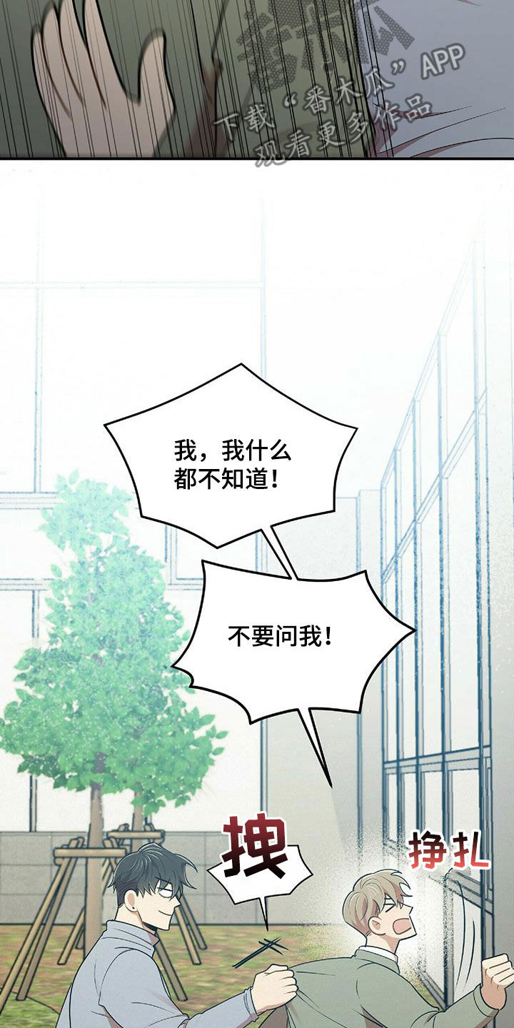 《拥抱式爱情》第52章面对面拷问 第20页
