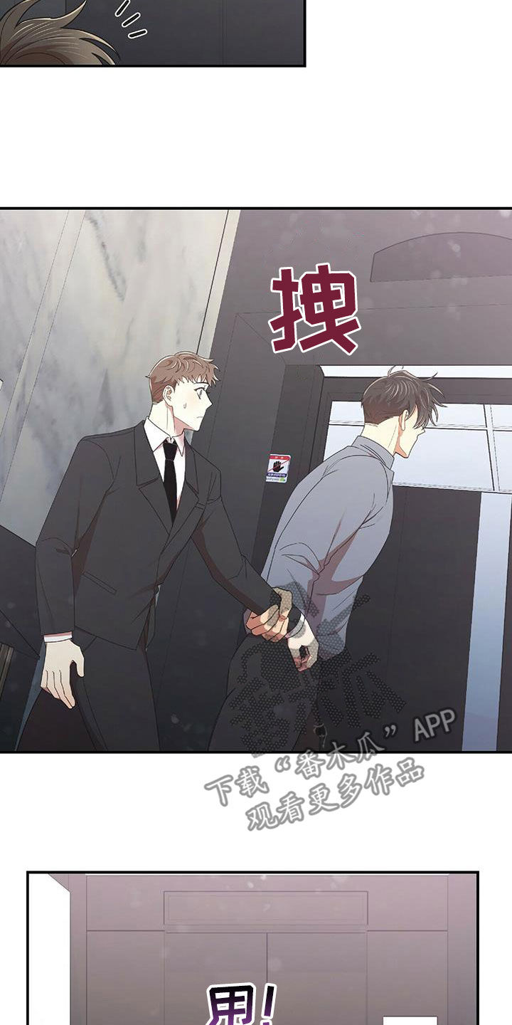 《拥抱式爱情》第62章我不理解 第11页