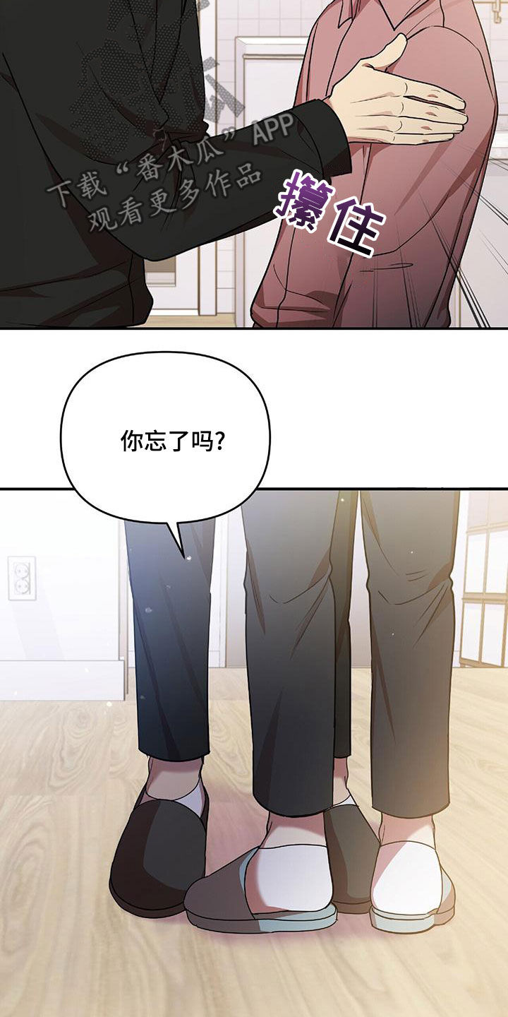《拥抱式爱情》第74章我要成为法官 第18页