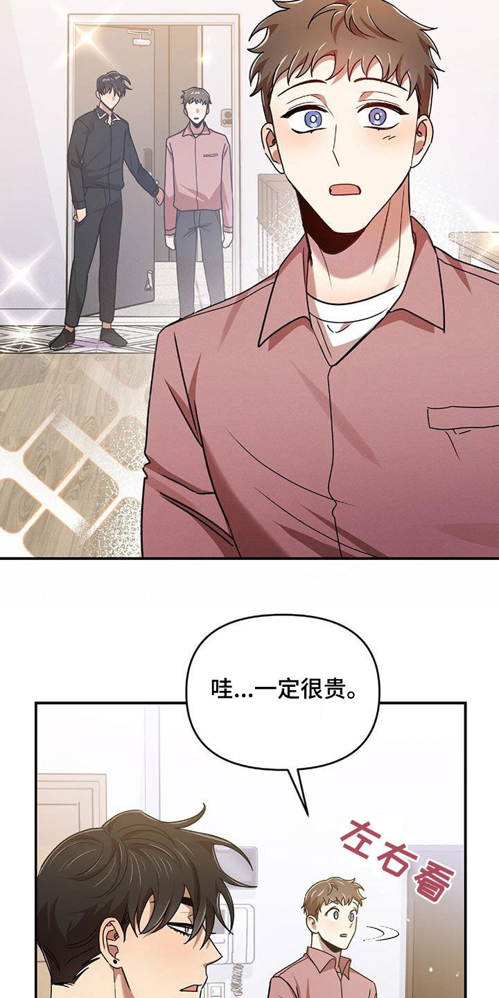 《拥抱式爱情》第74章我要成为法官 第9页