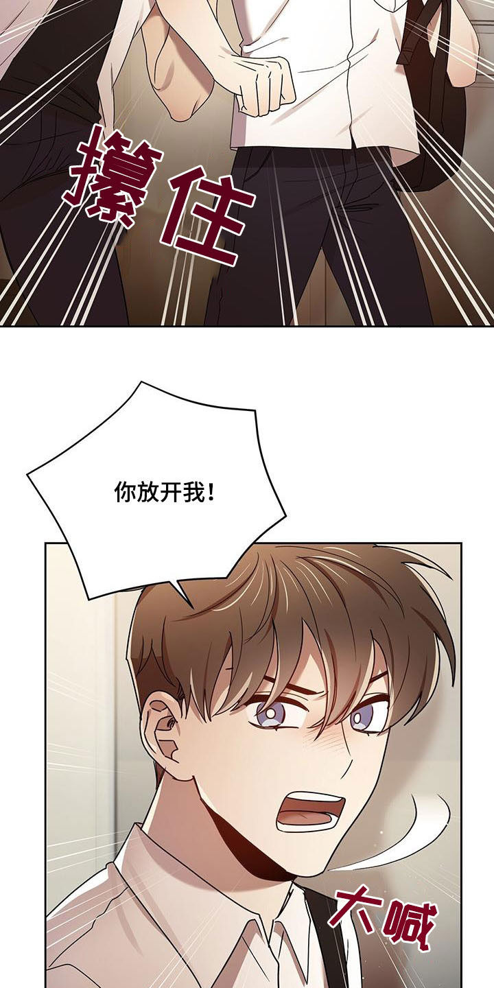 《拥抱式爱情》第77章劝说 第7页
