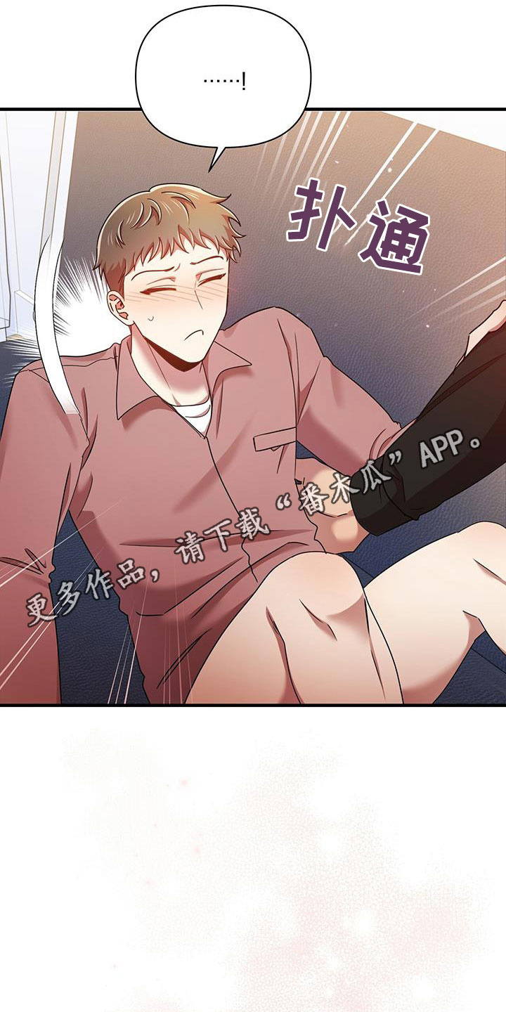 《拥抱式爱情》第83章一起 第1页