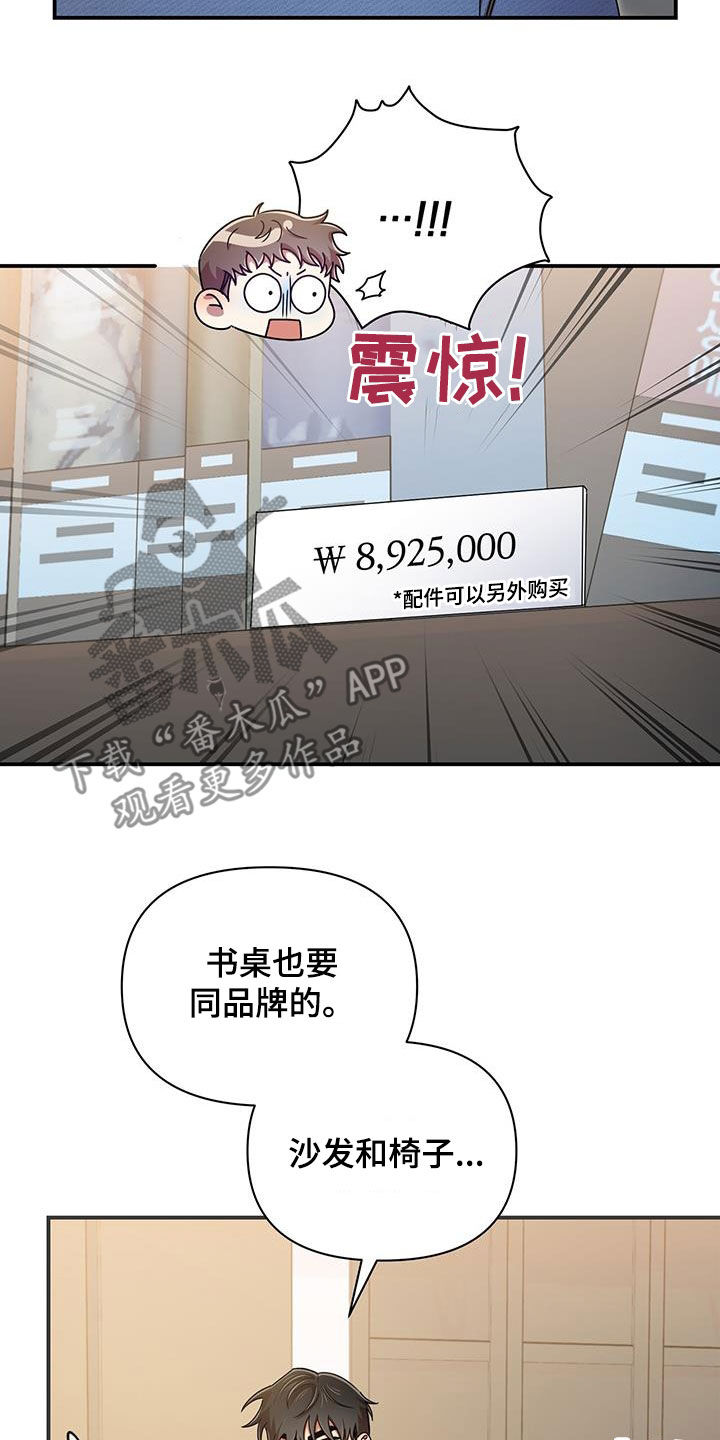 《拥抱式爱情》第85章买家具 第14页