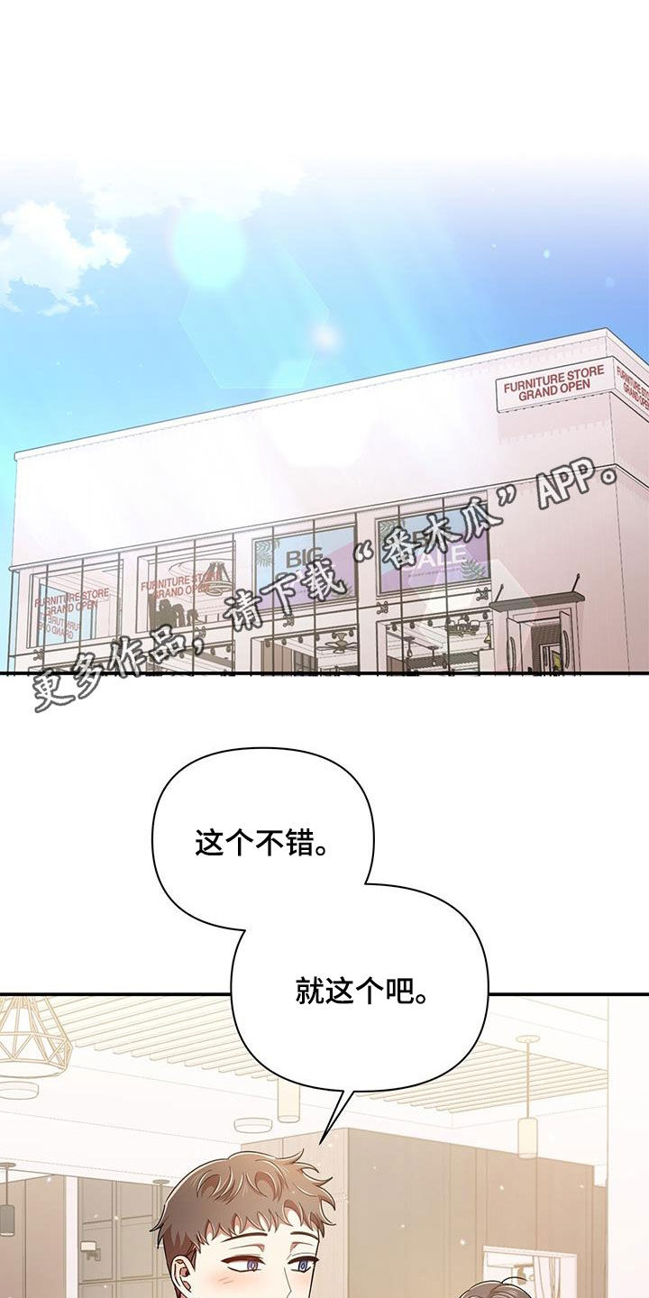 《拥抱式爱情》第85章买家具 第1页