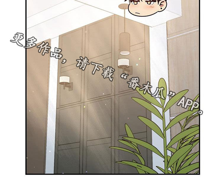《拥抱式爱情》第85章买家具 第27页