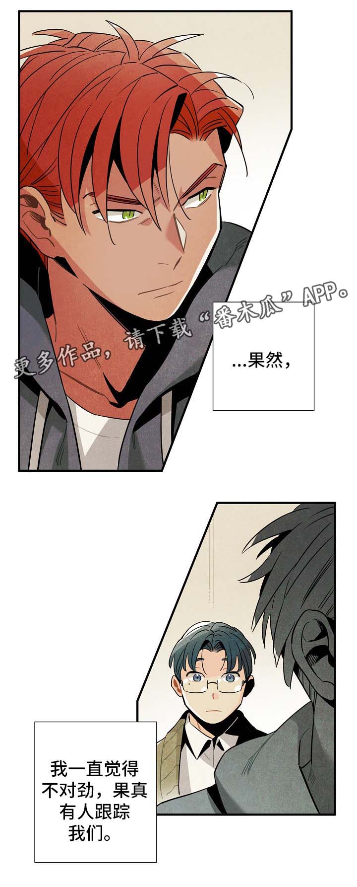 《天降外星人》第41章有人跟踪 第1页