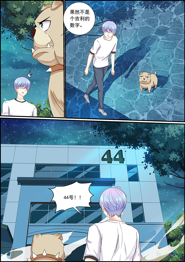 《不良天神》第51章 第5页