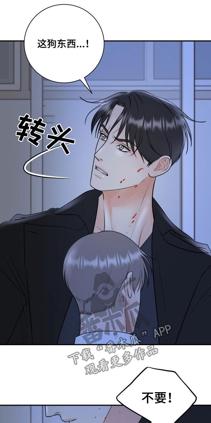 《我非常幸福》第108章【第二季】我有证据 第19页