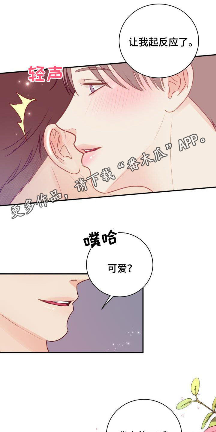 《我非常幸福》第84章【第二季】惹人爱 第1页