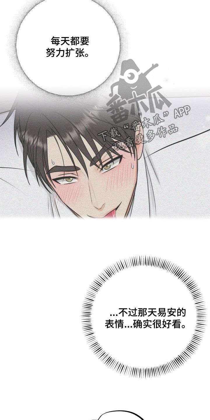 《我非常幸福》第47章美人计 第5页