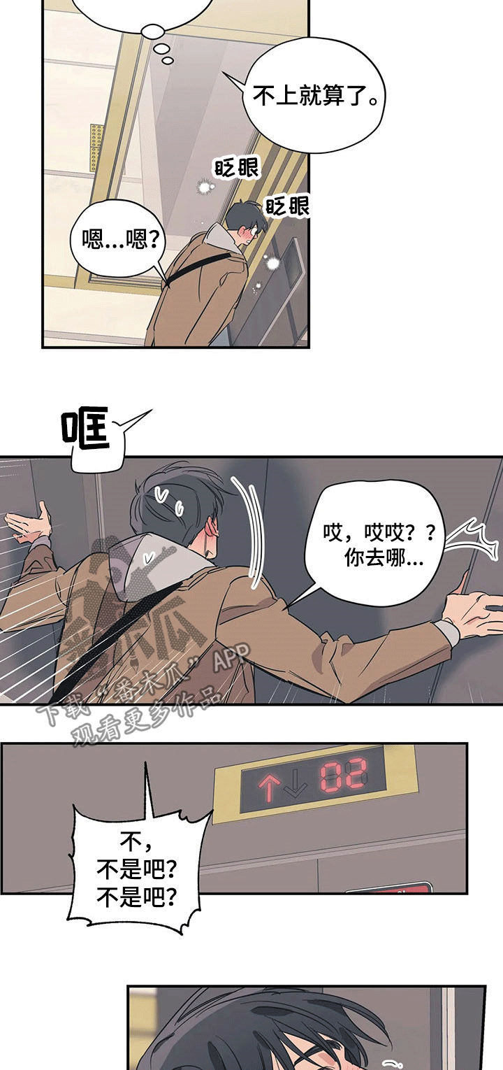 《百万浪漫史》第100章（第2季）回家 第5页