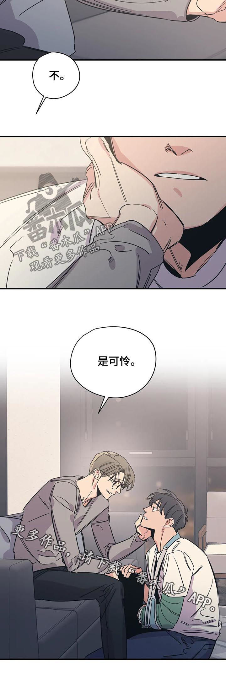 《百万浪漫史》第69章可怜 第12页