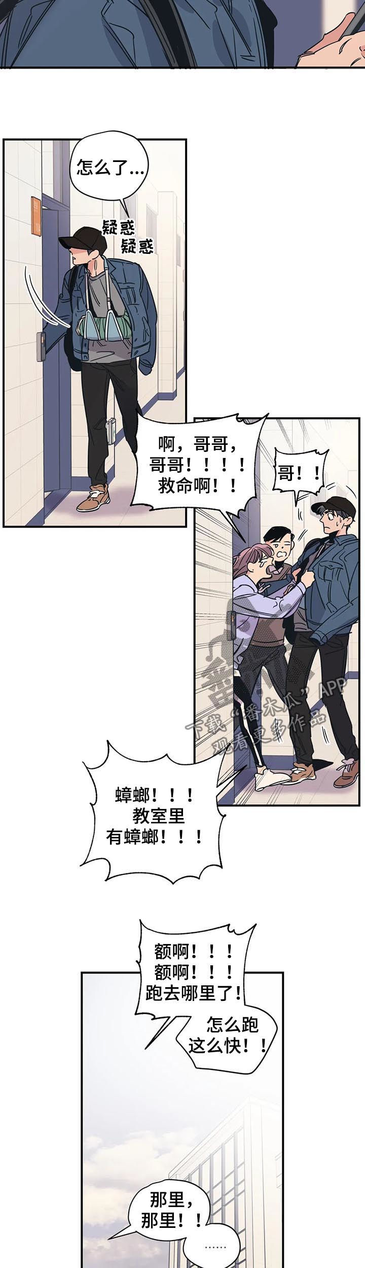 《百万浪漫史》第35章别莽撞 第7页