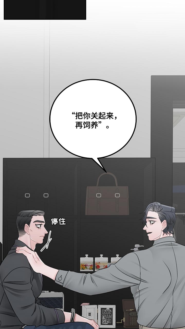 《送货上门》第42章完美的交易【完结】 第12页