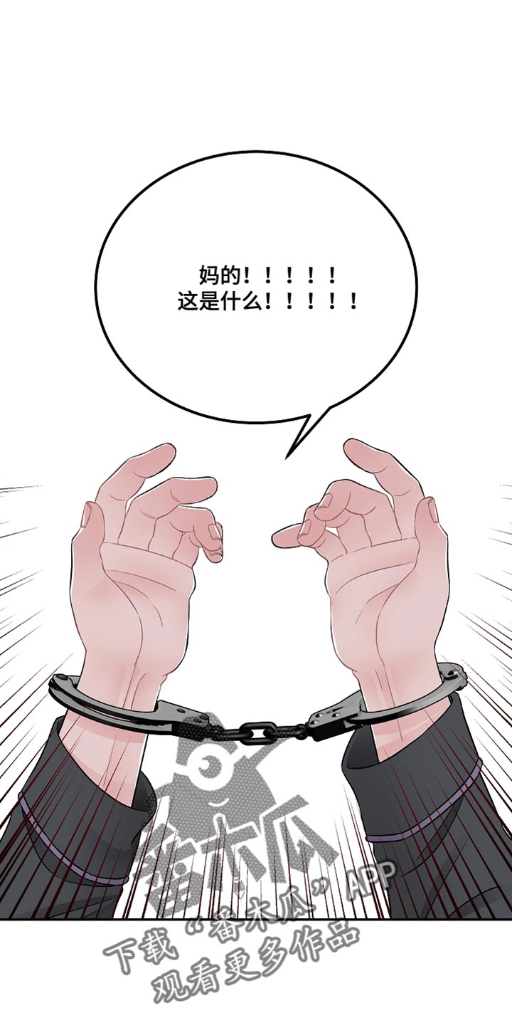 《送货上门》第42章完美的交易【完结】 第5页