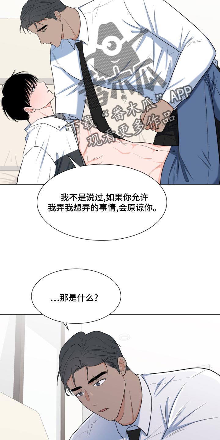 《重要人物》第70章【第一季番外】大梦想 第20页