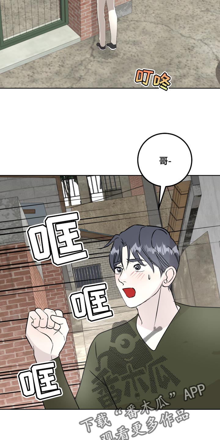 《绿色乐园》第60章丢手机 第12页
