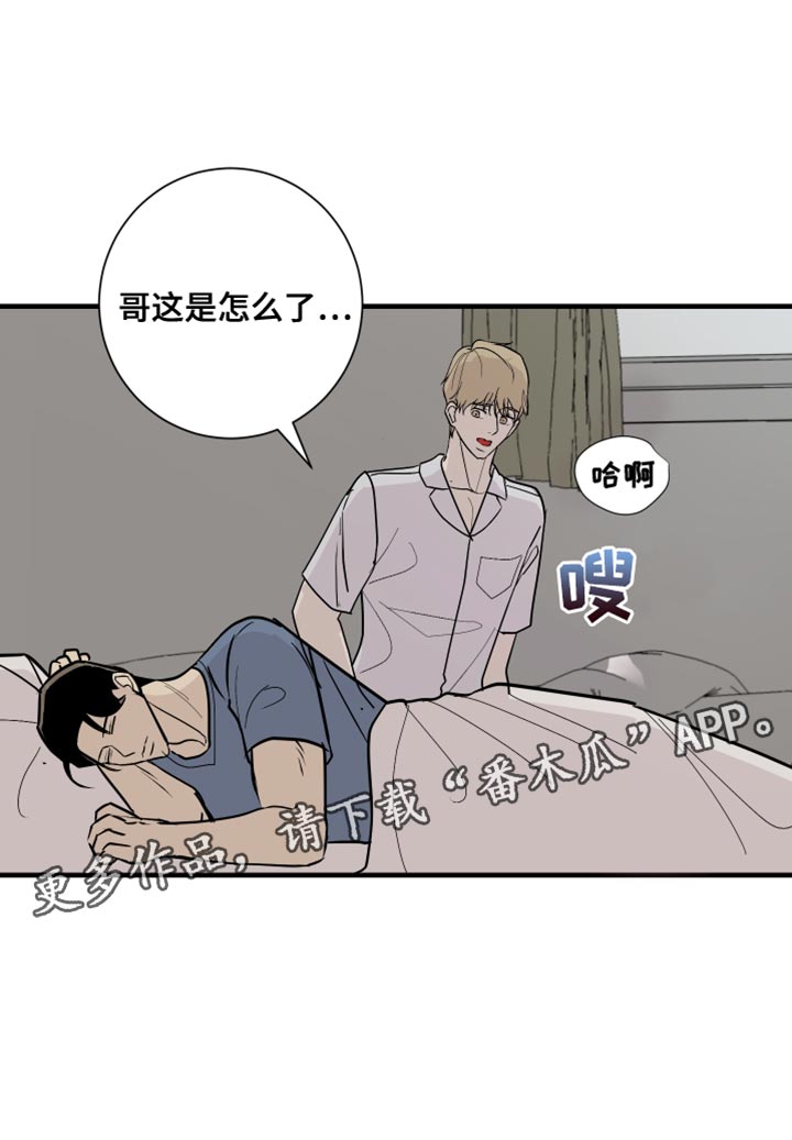 《绿色乐园》第41章太疯狂了 第17页