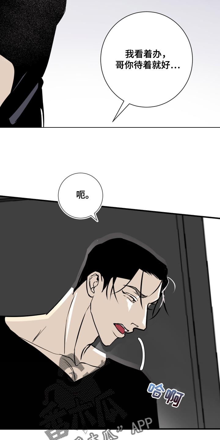 《绿色乐园》第38章我看着办 第10页