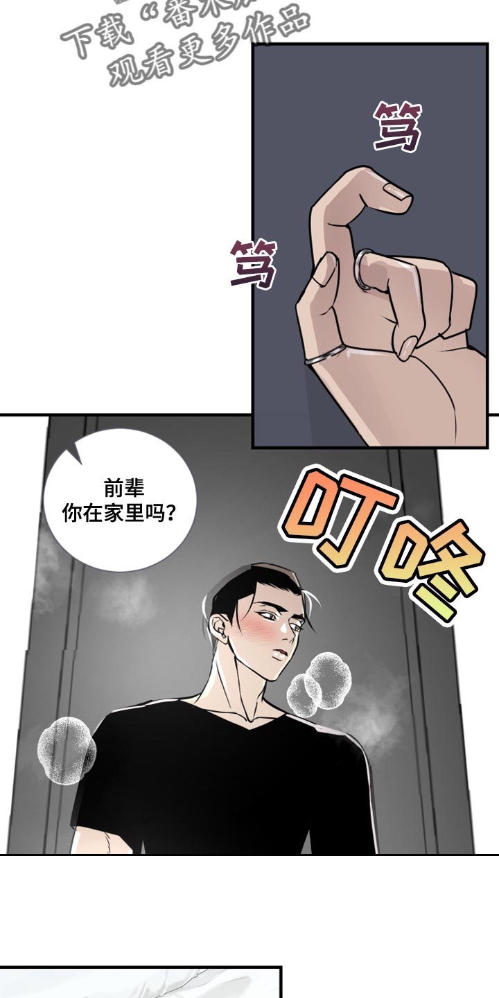 《绿色乐园》第38章我看着办 第11页