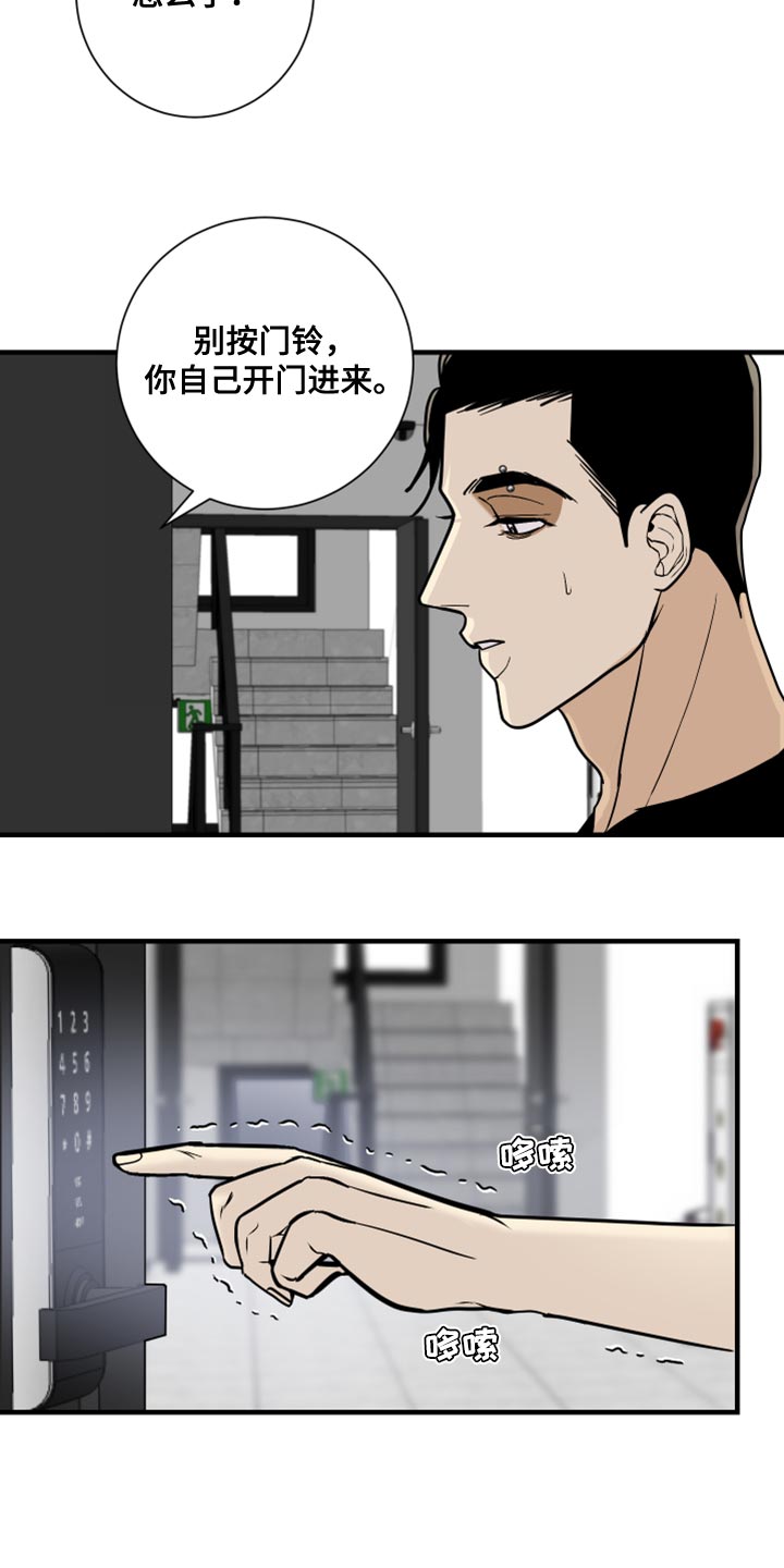 《绿色乐园》第38章我看着办 第2页