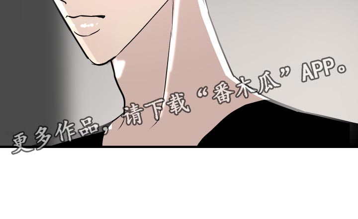 《绿色乐园》第37章挑衅 第17页