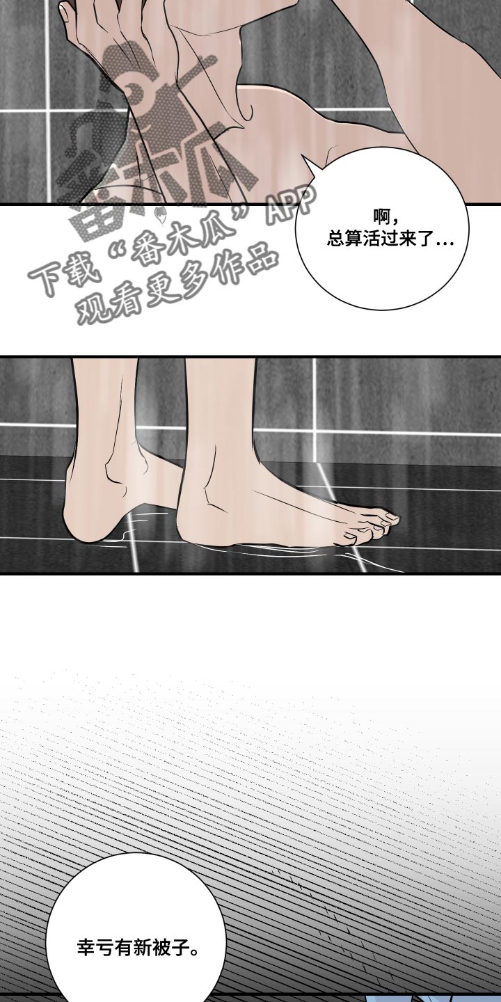 《绿色乐园》第36章贼喊捉贼 第2页