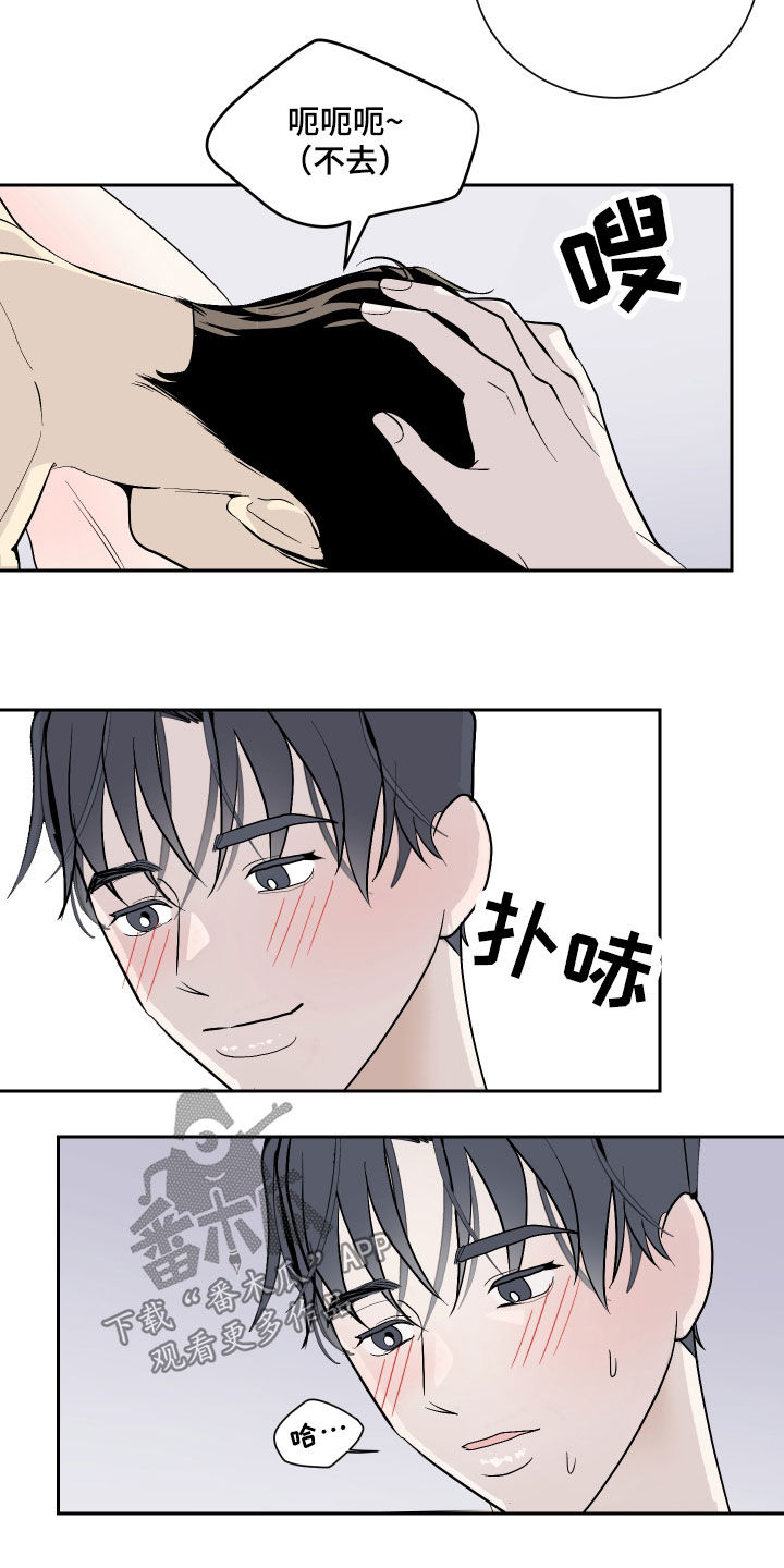 《绿色乐园》第24章好消息 第16页