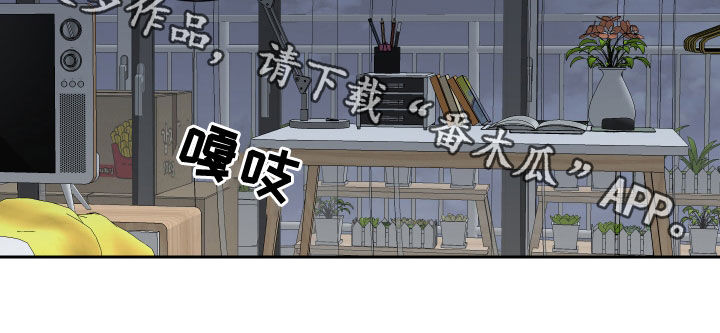 《绿色乐园》第21章履行义务 第15页