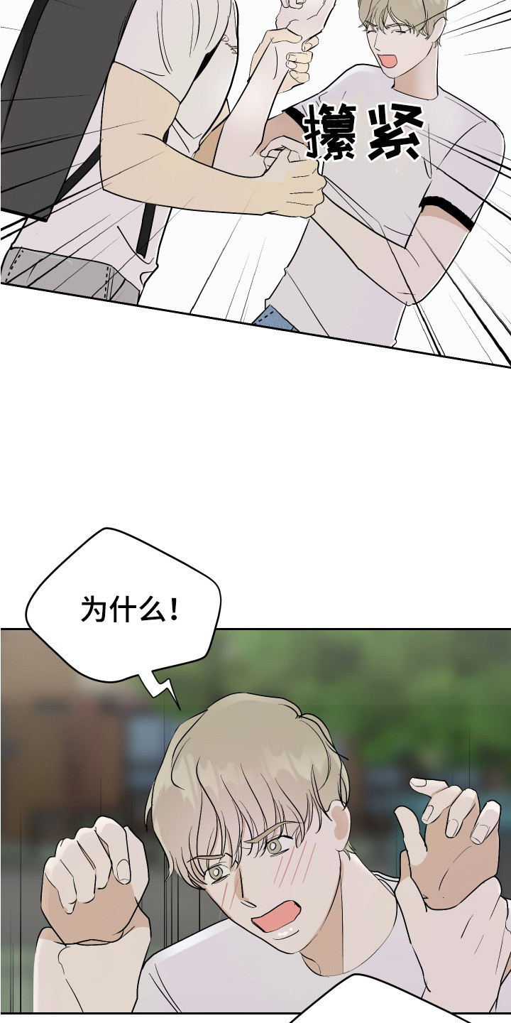 《绿色乐园》第16章冷静一点 第3页