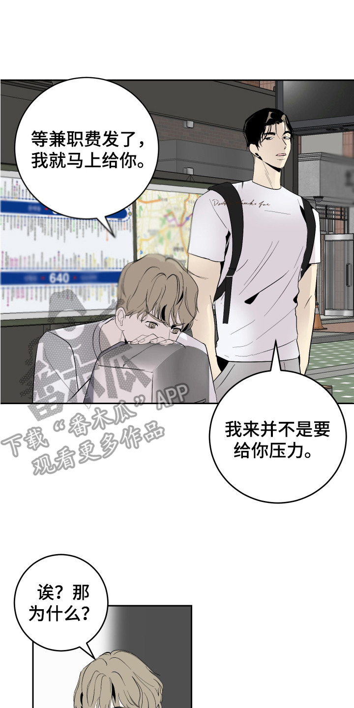 《绿色乐园》第14章盯着看 第17页
