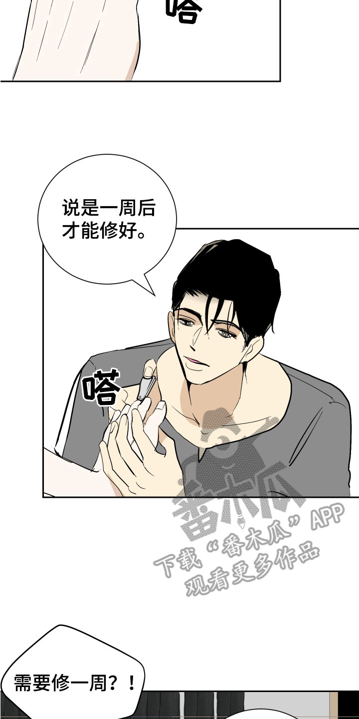 《绿色乐园》第10章奖励 第2页