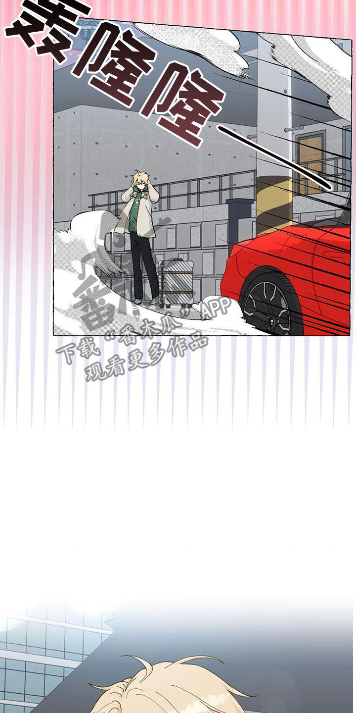 《香草搭档》第146章做朋友 第21页