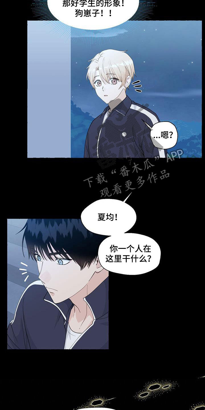 《香草搭档》第144章这是我的 第5页