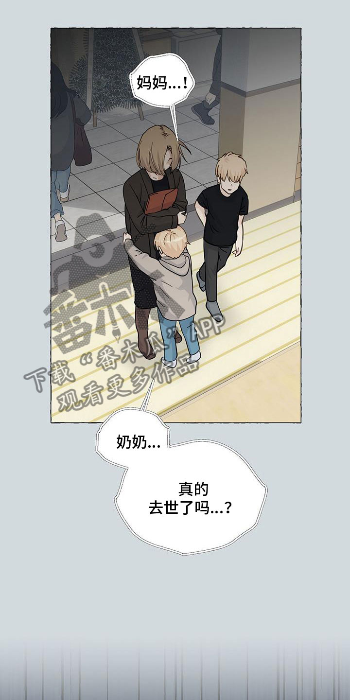《香草搭档》第139章闭校 第13页