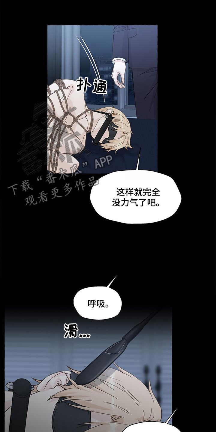 《香草搭档》第136章真的很卑鄙 第13页