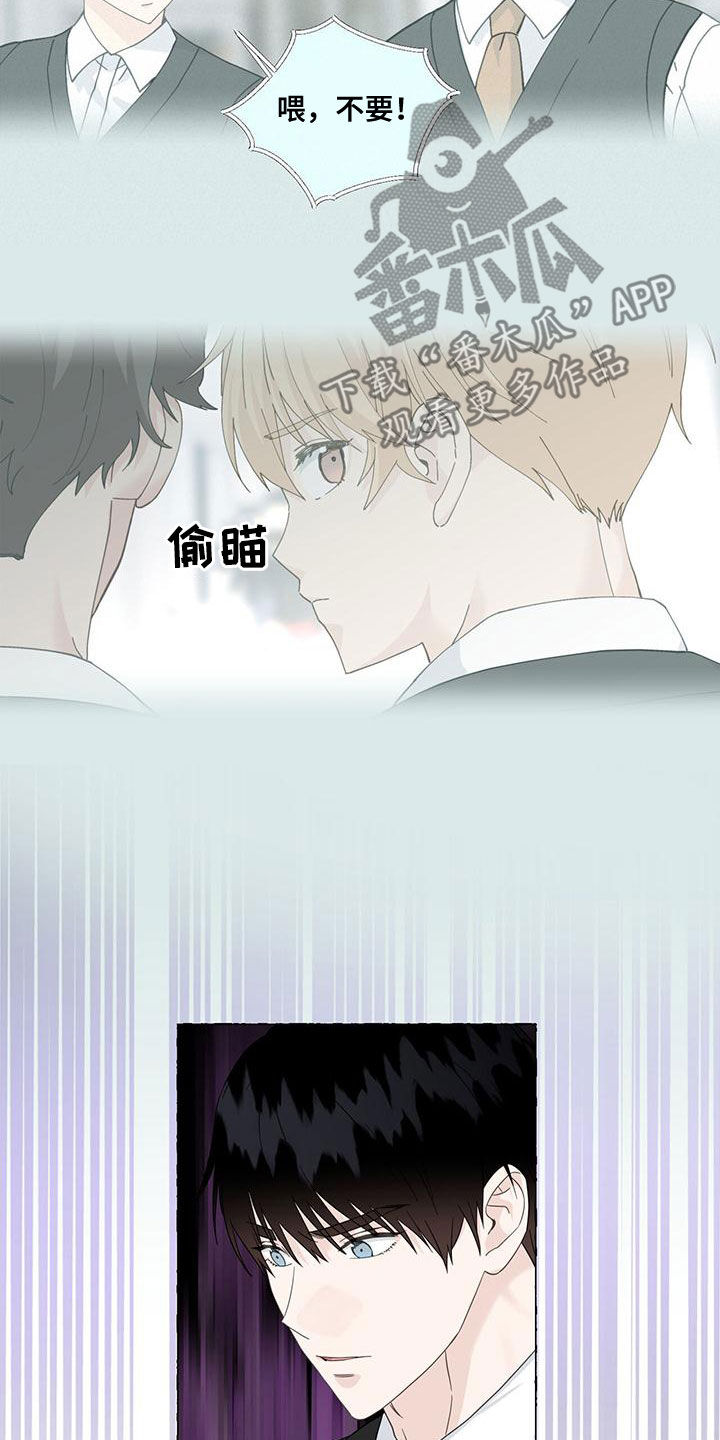 《香草搭档》第113章传闻 第20页