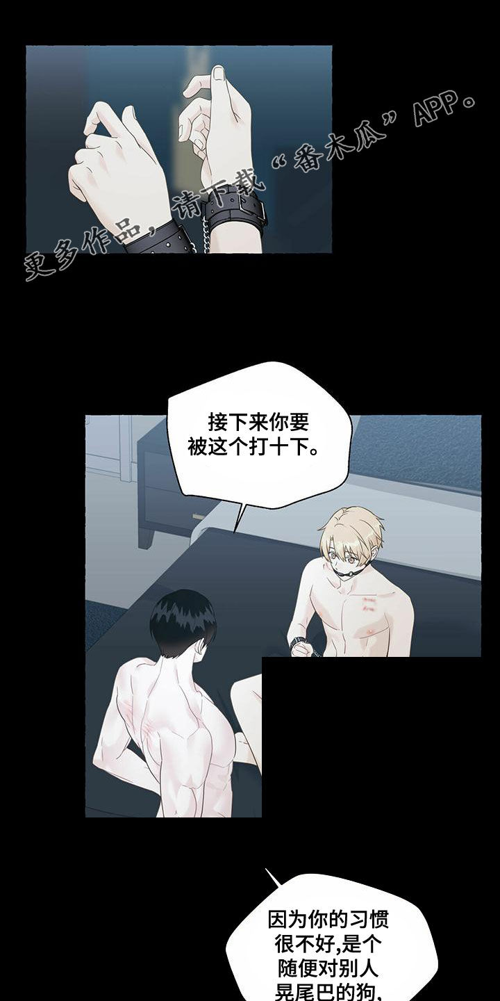 《香草搭档》第108章不服输 第1页