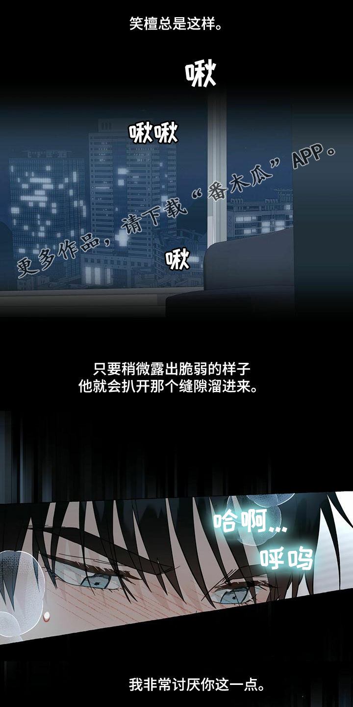 《香草搭档》第104章更加温柔 第1页