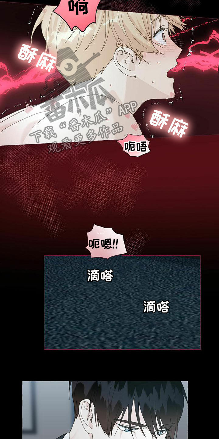 《香草搭档》第104章更加温柔 第9页