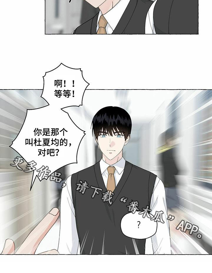《香草搭档》第98章躲避 第20页