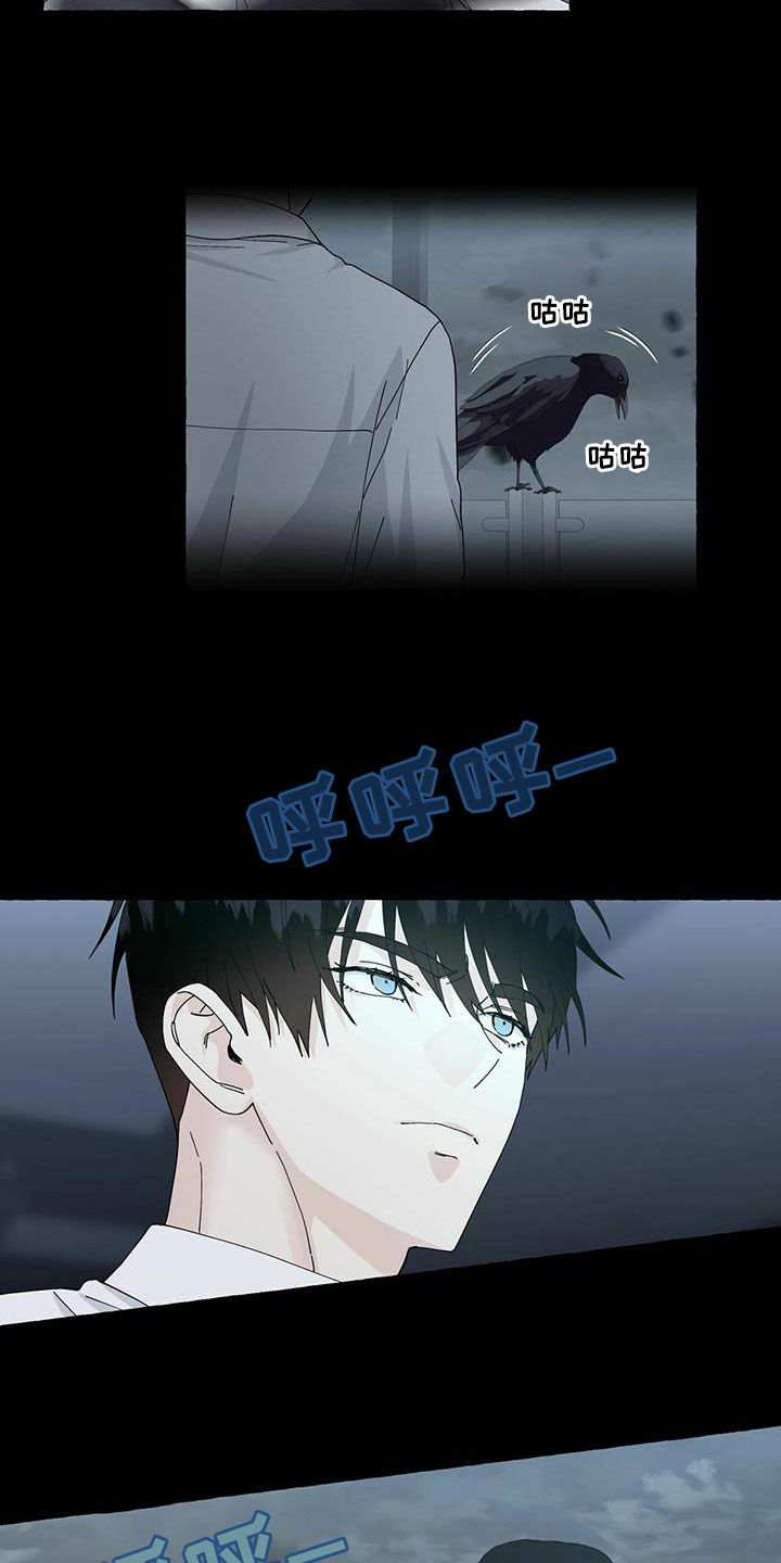 《香草搭档》第98章躲避 第4页