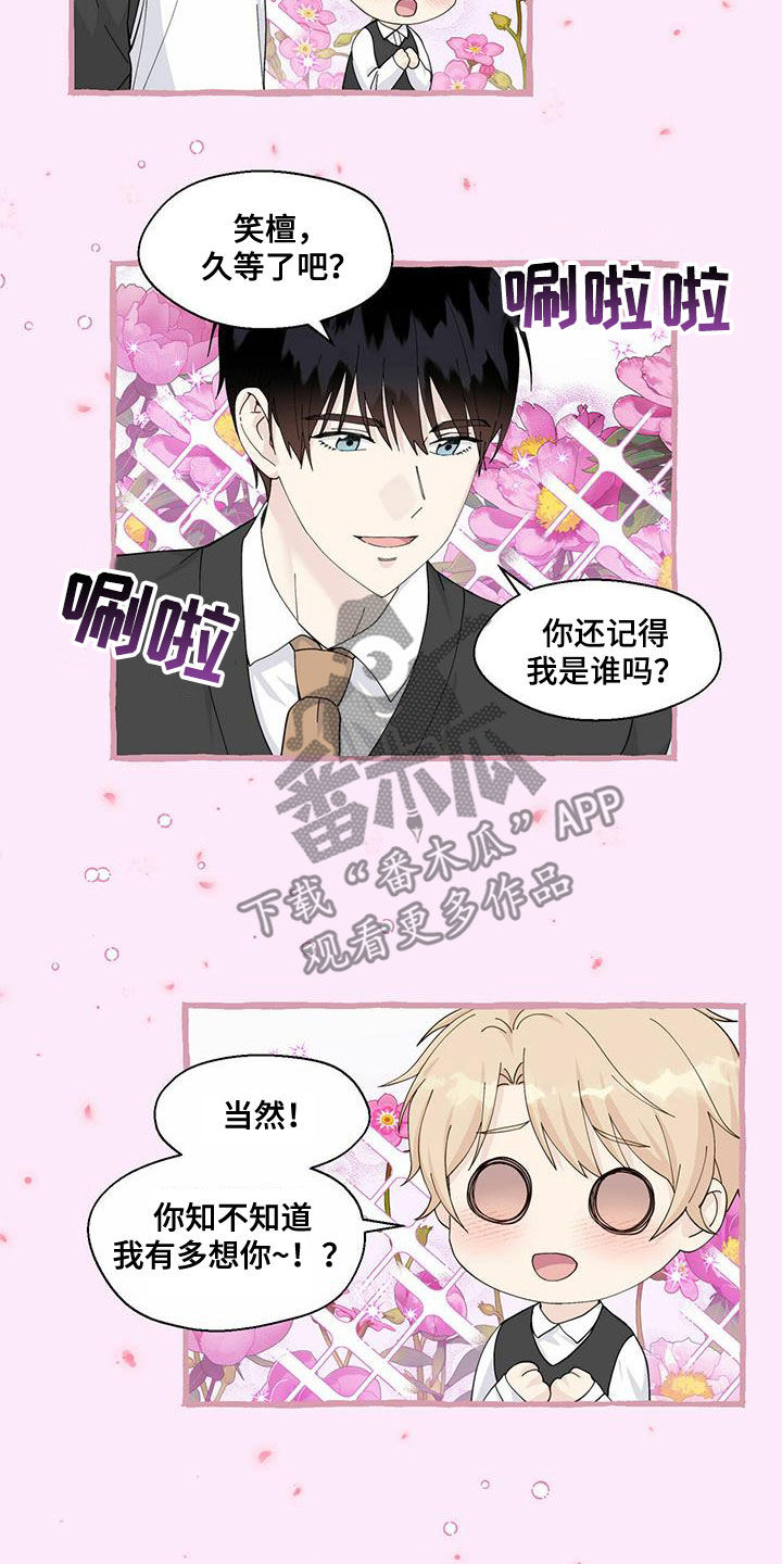 《香草搭档》第94章重逢 第7页