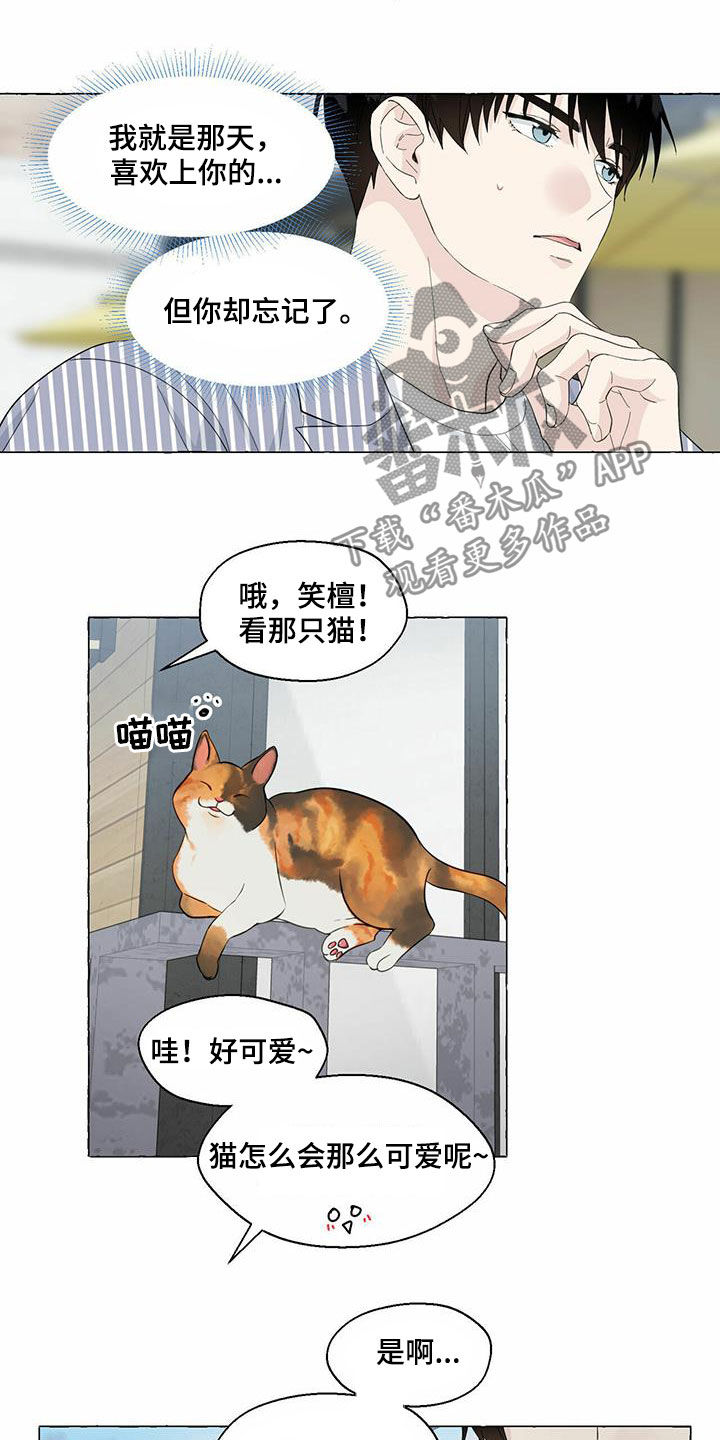 《香草搭档》第81章耍赖 第16页