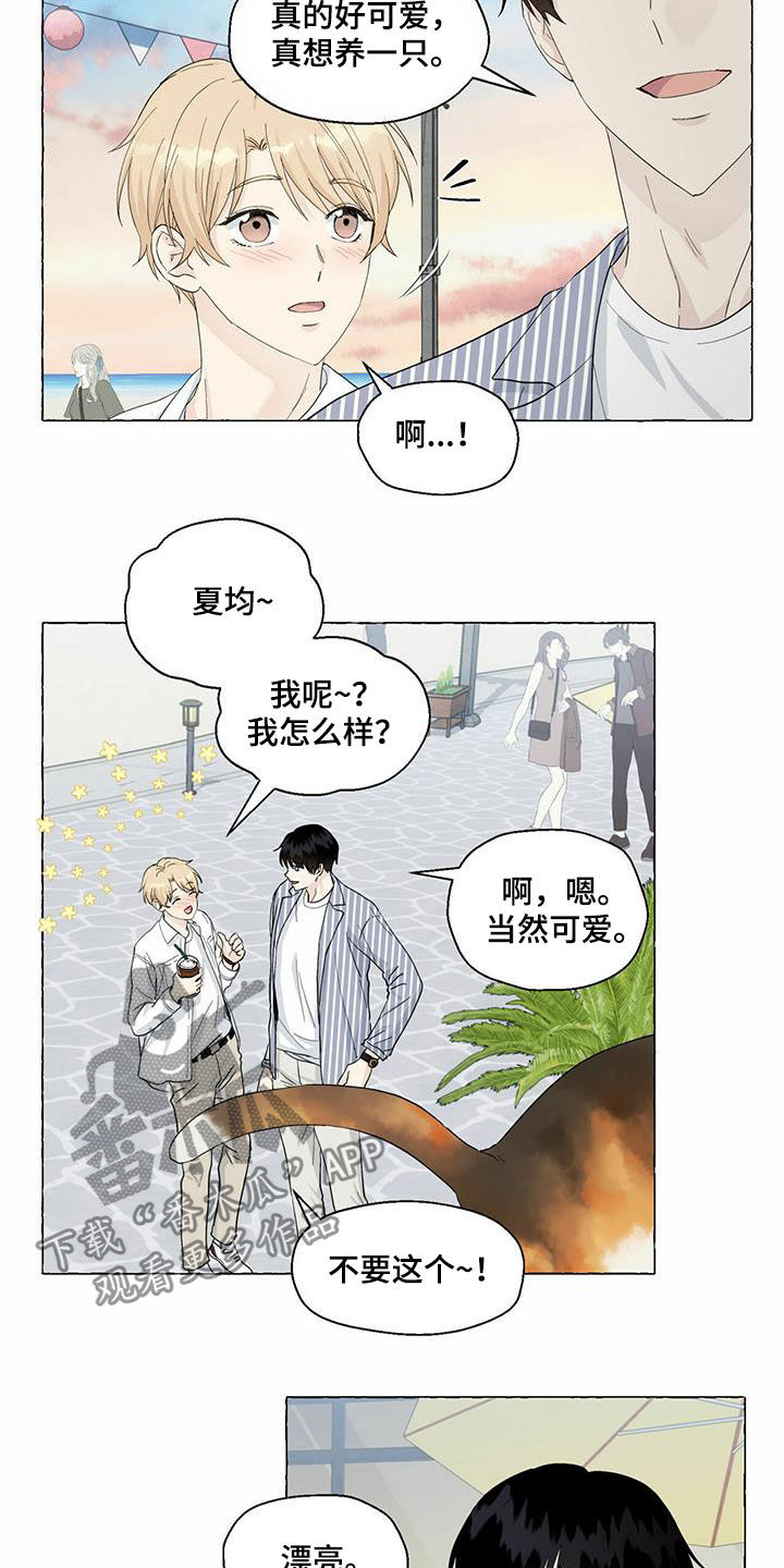 《香草搭档》第81章耍赖 第17页