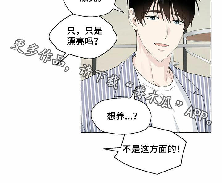 《香草搭档》第81章耍赖 第18页